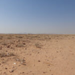 Namib Wüste Dramaka