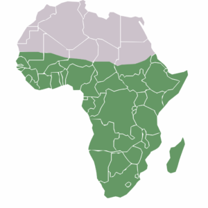 Subsahara-Staaten